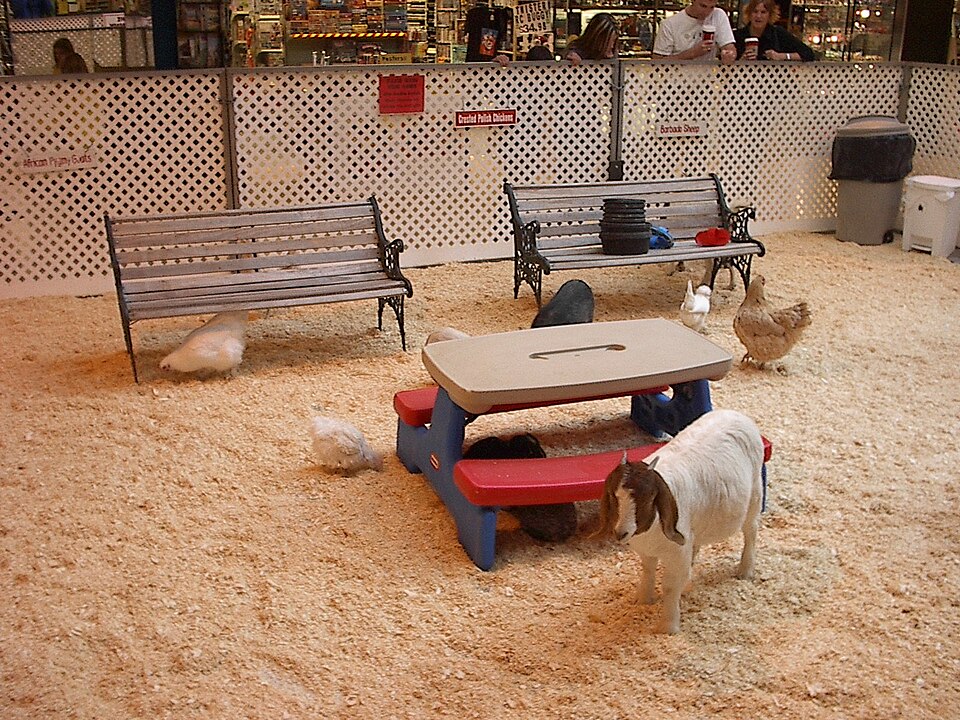 Kinderboerderij Brinkgreven