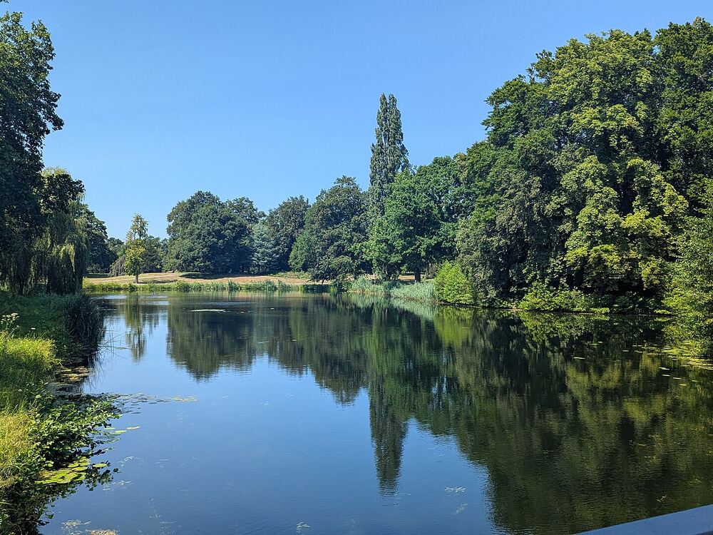 De vijver van het Rijsterborgherpark in Deventer, met bomen weerspiegeld in het water